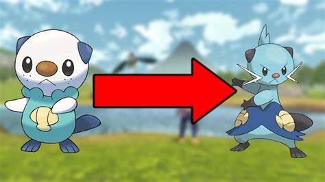 oshawott evolve|Iba pa.